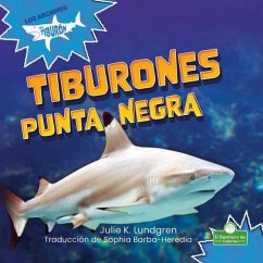Tiburones Punta Negra (Blacktip Reef Sharks) - Lundgren, Julie K.