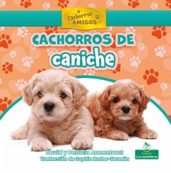 Cachorros de Caniche (Poodle Puppies) - Armentrout, David; Armentrout, Patricia