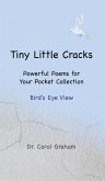 Tiny Little Cracks