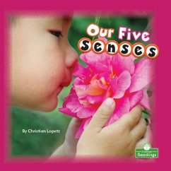 Our Five Senses - Lopetz, Christian