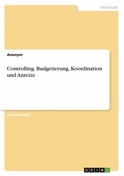 Controlling. Budgetierung, Koordination und Anreize - Anonymous