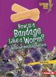 How Is a Bandage Like a Worm? - Bild 1