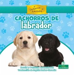 Cachorros de Labrador (Labrador Retriever Puppies) - Armentrout, David; Armentrout, Patricia