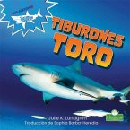 Tiburones Toro (Bull Sharks)