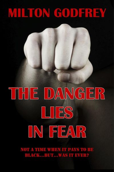 The Danger Lies In Fear (eBook, ePUB)
