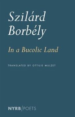 In a Bucolic Land - Borbely, Szilard; Mulzet, Ottilie
