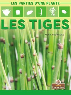 Les Tiges (Stems) - Rodriguez, Alicia