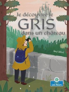 Je Découvre Le Gris Dans Un Château (I Spy Gray in a Castle) - Culliford, Amy