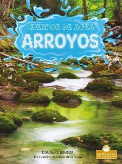 Arroyos (Streams) - Bender, Douglas