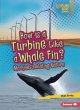How Is a Turbine Like a Whale Fin? - Bild 1