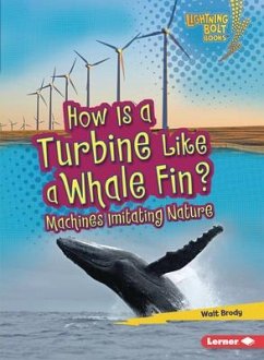 How Is a Turbine Like a Whale Fin? - Brody, Walt