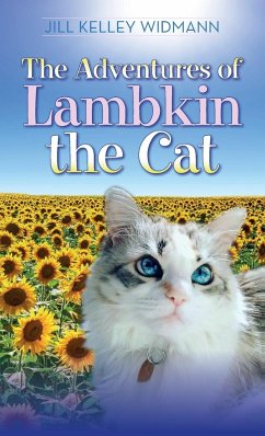 The Adventures of Lambkin the Cat - Widmann, Jill Kelley