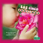 Los Cinco Sentidos (Our Five Senses)