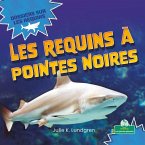 Les Requins À Pointes Noires (Blacktip Reef Sharks)