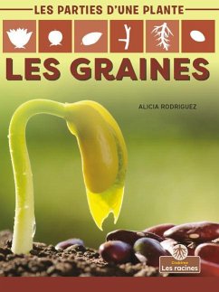 Les Graines (Seeds) - Rodriguez, Alicia