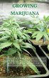 GROWING MARIJUANA - Bild 1
