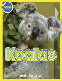 Koala Activity Workbook ages 4-8 - Costanzo, Beth