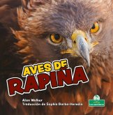 Aves de Rapiña (Birds of Prey) Aves de Rapiña (Birds of Prey)