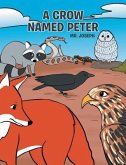 A Crow Named Peter (eBook, ePUB)
