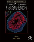 Human Pluripotent Stem Cell Derived Organoid Models (eBook, ePUB)