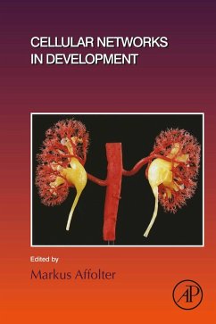 Cellular Networks in Development (eBook, ePUB)