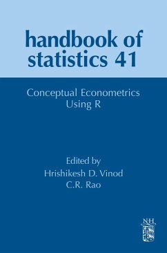 Cover Conceptual Econometrics Using R (eBook, ePUB)