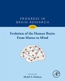 Evolution of the Human Brain: From Matter to Mind (eBook, ePUB)