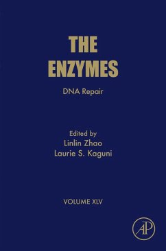 DNA Repair (eBook, ePUB)