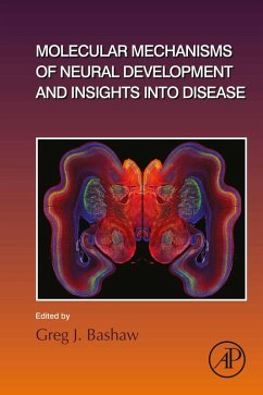 Cover Molecular Mechanisms of Neural Development and Insights into Disease (eBook, ePUB)