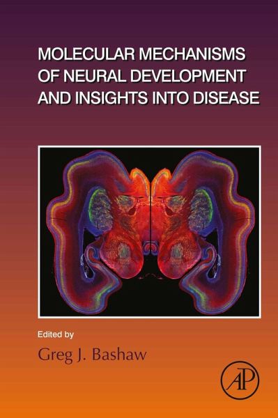 Molecular Mechanisms of Neural Development and Insights into Disease (eBook, ePUB)