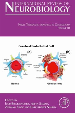 Cover Novel Therapeutic Advances in Glioblastoma (eBook, ePUB)