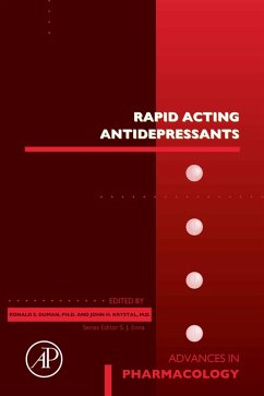 Cover Rapid Acting Antidepressants (eBook, ePUB)