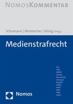 Medienstrafrecht