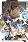 Wise Man's Grandchild Bd.3