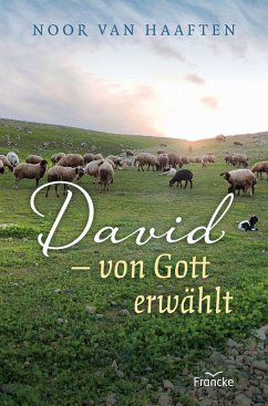 David - von Gott erwählt - Haaften, Noor van