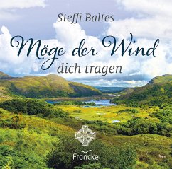 Möge der Wind dich tragen - Baltes, Steffi