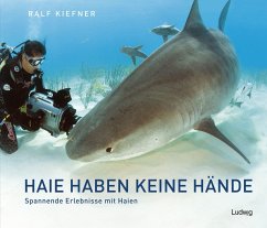 Haie haben keine Hände - Spannende Erlebnisse mit Haien - Kiefner, Ralf