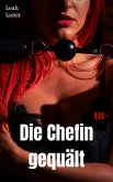 Die Chefin gequält (eBook, ePUB)