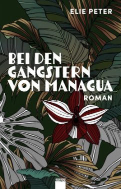 Cover Bei den Gangstern von Managua