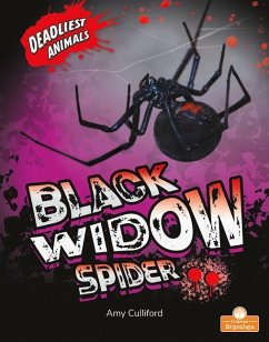 Black Widow Spider - Culliford, Amy