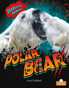 Polar Bear - Culliford, Amy