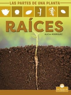 Raíces (Roots) - Rodriguez, Alicia