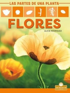 Flores (Flowers) - Rodriguez, Alicia