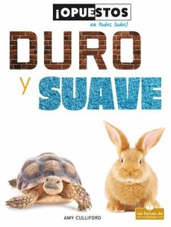 Duro Y Suave (Hard and Soft) - Culliford, Amy