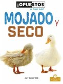 Mojado Y Seco (Wet and Dry)