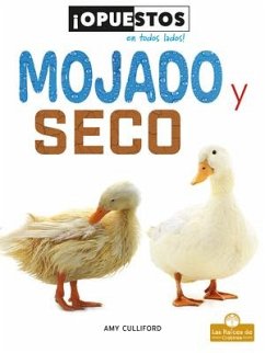 Mojado Y Seco (Wet and Dry) - Culliford, Amy