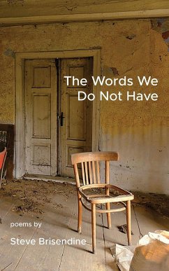 The Words We Do Not Have - Brisendine, Steve