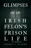 Glimpses of an Irish Felon's Prison Life