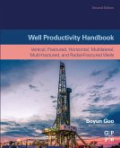 Well Productivity Handbook (eBook, ePUB)