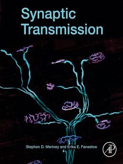 Synaptic Transmission (eBook, ePUB) - Meriney, Stephen D.; Fanselow, Erika